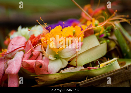 En Bali, Indonesia, la gente construir elaborados y coloridos ofertas hindú flores, bambú y hojas de palma y alimentos. Foto de stock