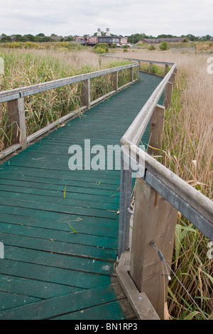 Boardwalk en pantanos Rainham RSPB Reserva con la información ecológica y Centro de Visitantes. Foto de stock