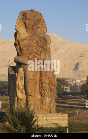Colosos de Memnon. Western colossus. Egipto. Foto de stock