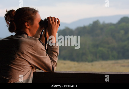 Mujer birdwatching desde una torre mirador en el Parque Nacional de Khao Yai, Tailandia Foto de stock