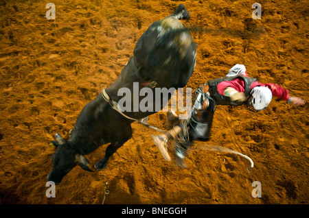 Miembro de rodeo PRCA saltando de Bull en Smalltown en Bridgeport Texas, EE.UU. Foto de stock