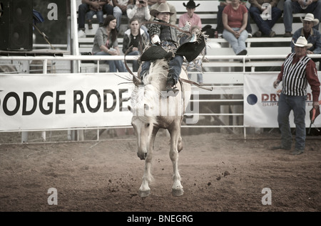 Caballo cowboy rodeo intentando lanzar miembro de PRCA desde su espalda en Smalltown, Bridgeport, Texas, EE.UU. Foto de stock