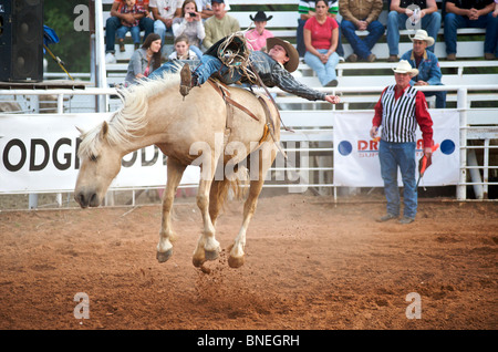 Miembro de cowboy Rodeo PRCA está bajando desde la parte posterior del caballo en Smalltown Bridgeport, Texas, EE.UU. Foto de stock