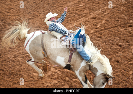 Miembro PRCA Rodeo cowboy de mantenerse en equilibrio sobre el caballo Smalltown Bridgeport, Texas, EE.UU. Foto de stock