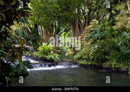 Hot Springs desde el Arenel Vocano en el Tabacón Grand Spa, Costa Rica. Foto de stock