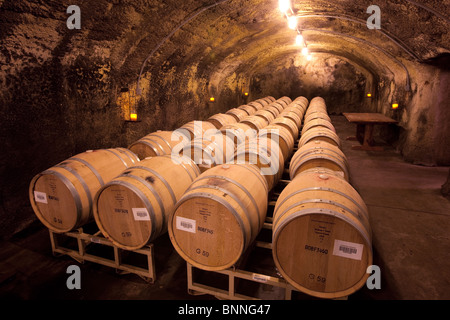 Barriles de vino en Beringer Vineyards, Napa Valley, California. Foto de stock