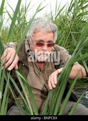 Bill Oddie escondidos en entre los juncos en pantanos rainham RSPB Nature Reserve. Foto de stock