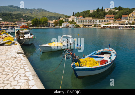 La pesca costera barcos amarrados en el puerto en Kassiopi griego en la isla mediterránea de Corfu Grecia GR Foto de stock