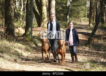 Dos hermanas paseando sus perros en el bosque, Hamburgo, Alemania. Foto de stock