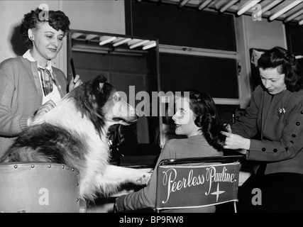 LASSIE, Elizabeth Taylor, Lassie Come Home, 1943 Foto de stock