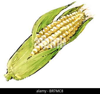 Dibujos de elotes animados fotografías e imágenes de alta resolución - Alamy