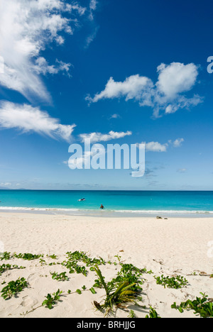Playa de Darkwood, Antigua y Barbuda, Antillas, Caribe, América Central