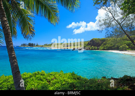 Hermoso día en Hamoa Beach, Hana, Maui, Hawaii. Foto de stock