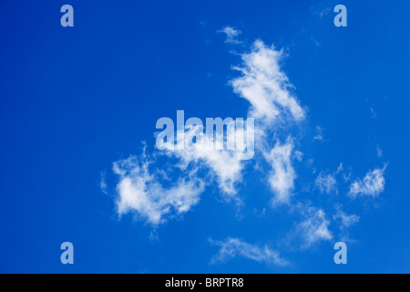 El cielo azul con nubes cirrus mirando hacia arriba