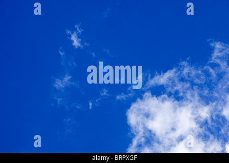El cielo azul con nubes cirrus mirando hacia arriba