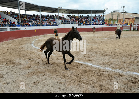 Xmatkuil, Yucatán / México - 12 de noviembre: torneo charro durante la feria xmatkuil Foto de stock