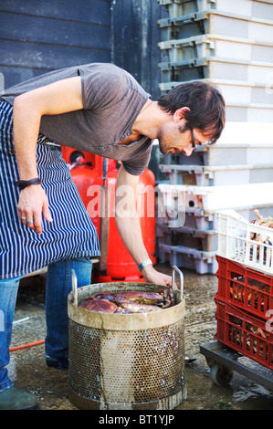 Poniendo la mano de cocina cangrejos recién capturados en la cuchara listo para cocinar al vapor Foto de stock