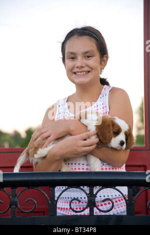 Chica sujetando un Cavalier King Charles Spaniel cachorro Foto de stock