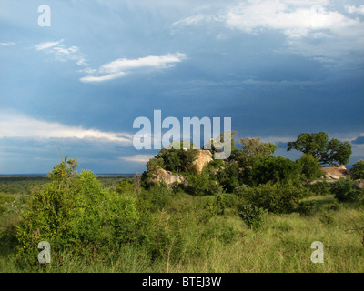 Vista escénica de granito koppies en el sur del Parque Nacional Kruger
