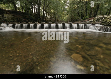 El agua que fluye entre piedras pasaderas sobre el río Shimna Tollymore, Irlanda del Norte, destacados en el Juego de Tronos