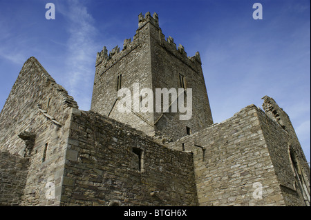Jerpoint Abbey, abadía cisterciense, Thomastown, condado de Kilkenny, Irlanda Foto de stock