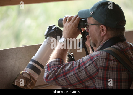 Fotógrafo de aves y especies silvestres. Con los binoculares en un público ocultar en una reserva natural. En Norfolk. Foto de stock