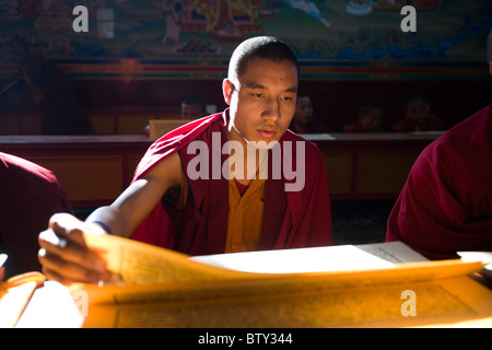 Joven monje budista tibetano, recitando el Sutra en el monasterio Instituto Vidhya vajra, Sarnath, Uttar Pradesh, India. Foto de stock