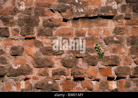 Italia, Roma, murallas aurelianas, ladrillos romanos de cerca Foto de stock