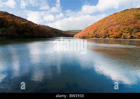 Colores de otoño en todo el oeste de looe Río Cornwall