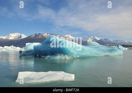 Blue Ice-Berg, reflejando en las aguas del Lago Argentino, en el campo de hielo en el frente del glaciar Upsala, Andes Patagónicos Foto de stock