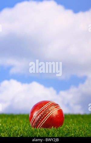 Foto de una bola de críquet en la hierba con el fondo del cielo.