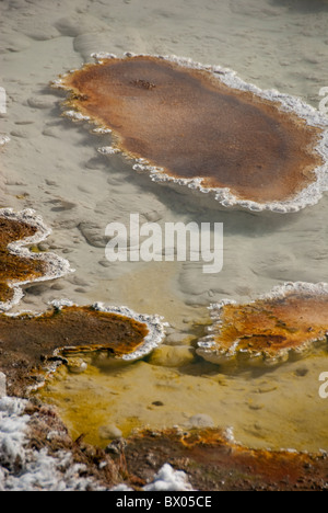 Ee.Uu., Wyoming. El Parque Nacional de Yellowstone. Fountain Paint Pot área. Características geotérmicas, bacterias thermophile mat.