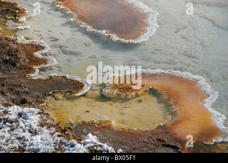 Ee.Uu., Wyoming. El Parque Nacional de Yellowstone. Fountain Paint Pot área. Características geotérmicas, bacterias thermophile mat.
