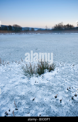 Shorline Llangorse invierno congelado de lago, el Parque Nacional de Brecon Beacons, Gales Foto de stock