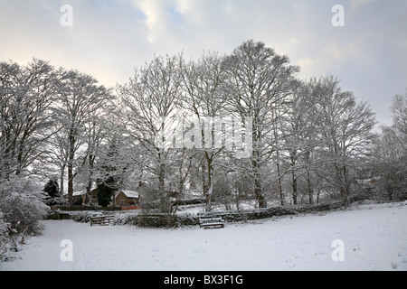 Campos Magdale en nieve profunda, Honley, Holmfirth, West Yorkshire, Inglaterra, Reino Unido. Foto de stock