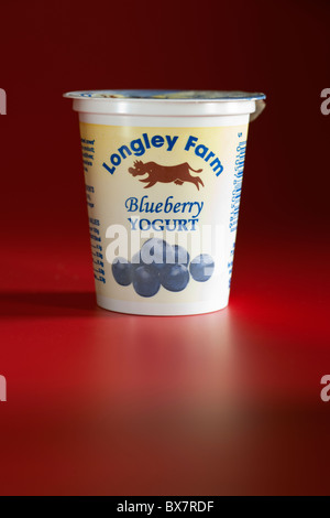 Longley Blueberry Granja yogur yogur Foto de stock
