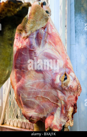 Una piel de cabeza de vaca en la carnicería en Meknes, Marruecos. Foto de stock