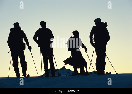 Siluetas de compañía de esquiadores con perros, de pie en la parte superior de la colina