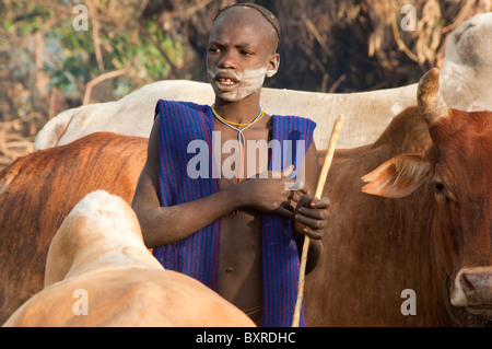 Surma herder con ganado cerca de Tulgit, Valle del río Omo, Etiopía África