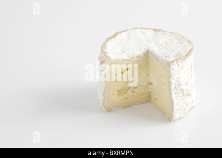 Chaource francés AOC queso de leche de vaca Foto de stock