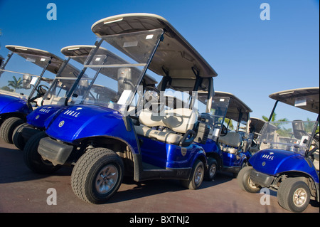 Marriott Doral Golf Resort & Spa , Miami , Florida , USA , los cochecitos de golf por Blue Monster 1t Foto de stock