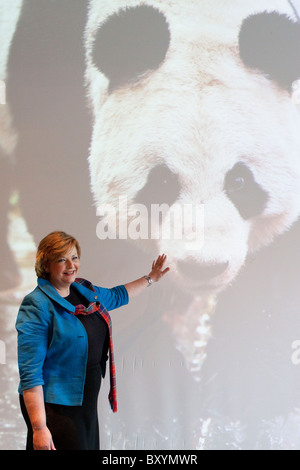 Escocia - 10 de enero de 2011. La ministra de Cultura, Fiona Hyslop celebra dos osos panda gigantes del Zoo de Edimburgo Foto de stock