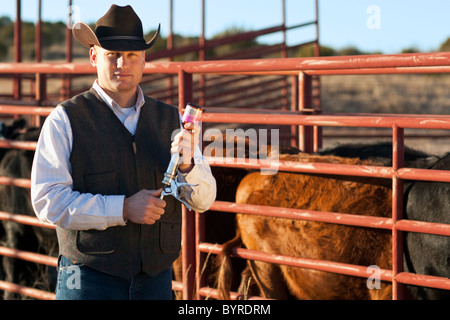 Ganadería - Ganadero llenar una jeringa al doctor el ganado en un corral / Childress, Texas, EE.UU. Foto de stock