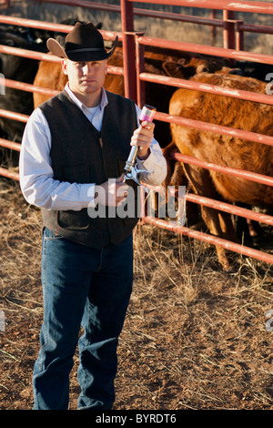 Ganadería - Ganadero llenar una jeringa al doctor el ganado en un corral / Childress, Texas, EE.UU. Foto de stock