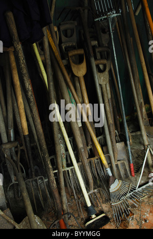 Rastrillos, horquillas, palas, pinceles, una selección de herramientas en una barraca del jardín. En Dorset, Reino Unido, Noviembre de 2010 Foto de stock