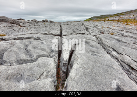 Rocas cársticas, Burren, en el condado de Clare, Irlanda, Europa