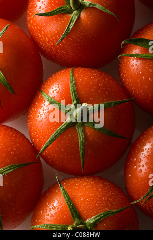 Vid tomates frescos sobre un fondo blanco.