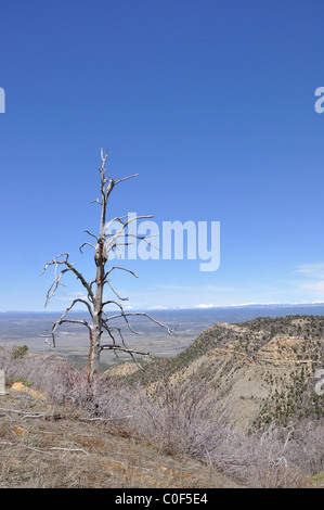 El Parque Nacional Mesa Verde rocks, Nuevo México, EE.UU. Foto de stock