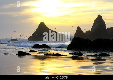 40,150.05581un suave amarillo azul sunset reflexiones apila aves gaviotas aves olas de surf breakers playa Marea montículos rocosos peñascos e islas. Foto de stock