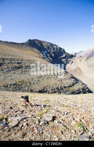 Estados Unidos, Montana, el Parque Nacional de Los Glaciares, mitad hombre adulto senderismo Foto de stock